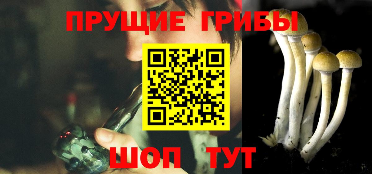 Галлюциногенные грибы Cubensis Подольск